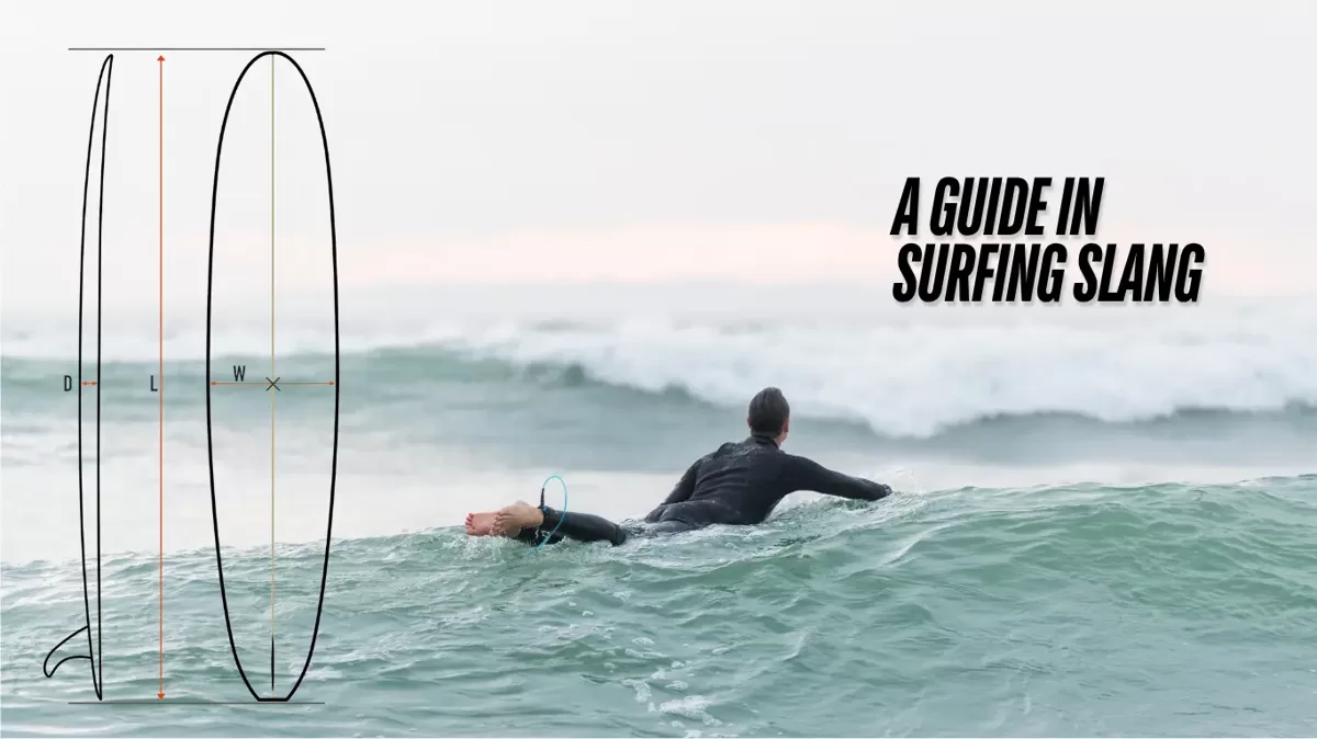 Surfing_slang_by_DRTYBOARDS.webp